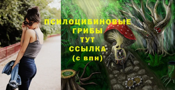 бошки Баксан