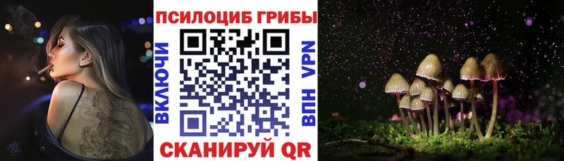 дарнет шоп Нерюнгри Псилоцибиновые грибы ЛСД
